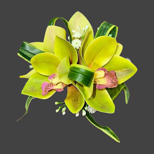 4-Cymbidium Orchid Clip