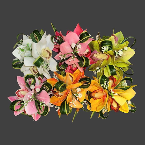 4-Cymbidium Orchid Clip