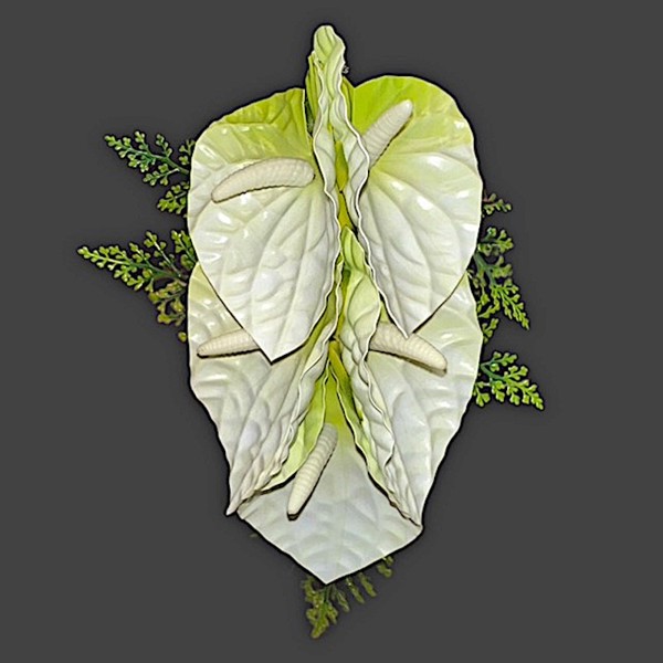 5 - Anthurium Clip