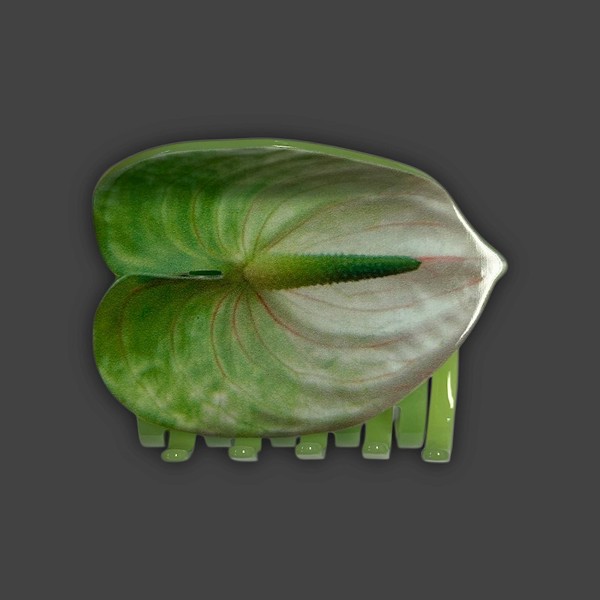 Anthurium Claw Clip