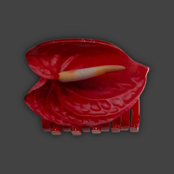 Anthurium Claw Clip