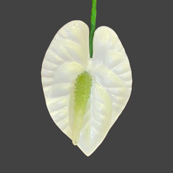 Anthurium Foam Pick