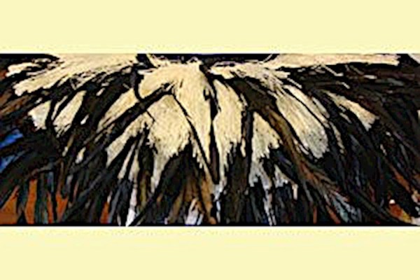 Black Feather Bustle Hipband