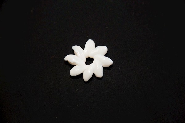 Bubble Shell Rosette