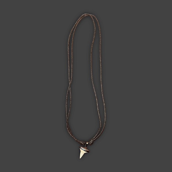 Child Shark Tooth Necklace