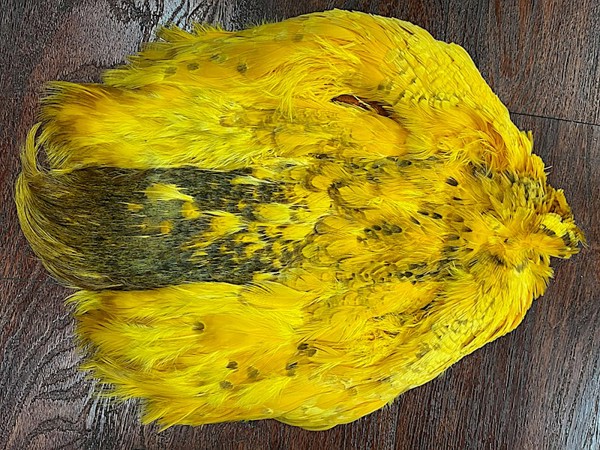 Dyed Pheasant Pelt