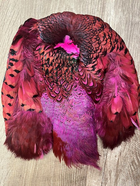 Dyed Pheasant Pelt