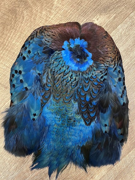 Dyed Pheasant Pelt