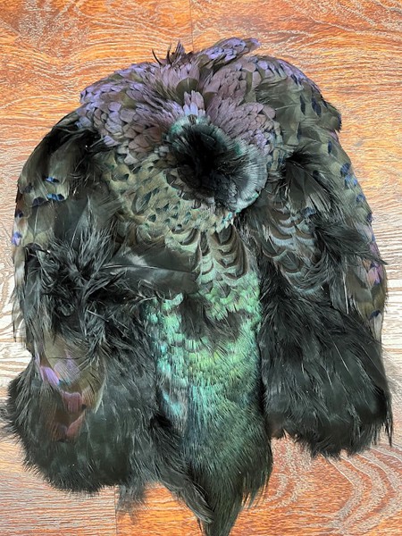 Dyed Pheasant Pelt