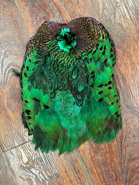 Dyed Pheasant Pelt