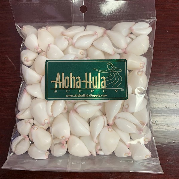 Egg Shell Cowry Bag - 100 Pieces