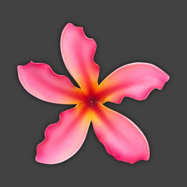 Extra Large Sunset Plumeria Pick