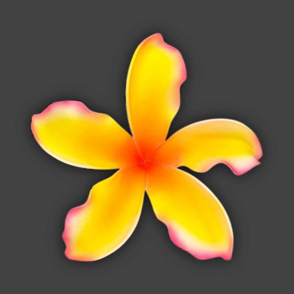 Extra Large Sunset Plumeria Pick