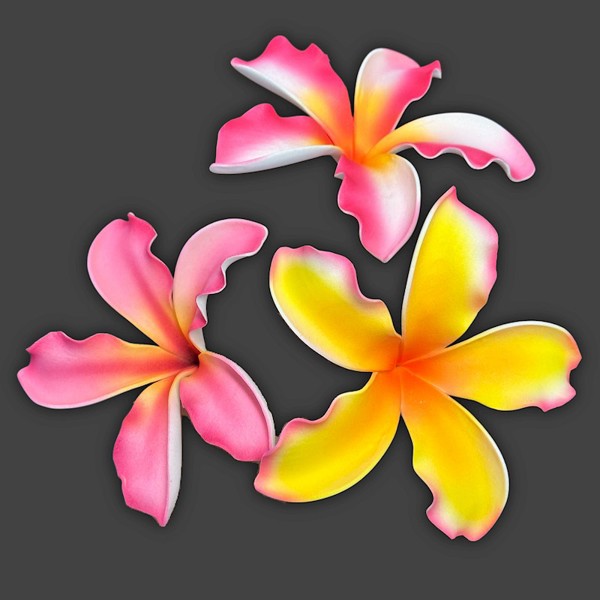 Extra Large Sunset Plumeria Pick