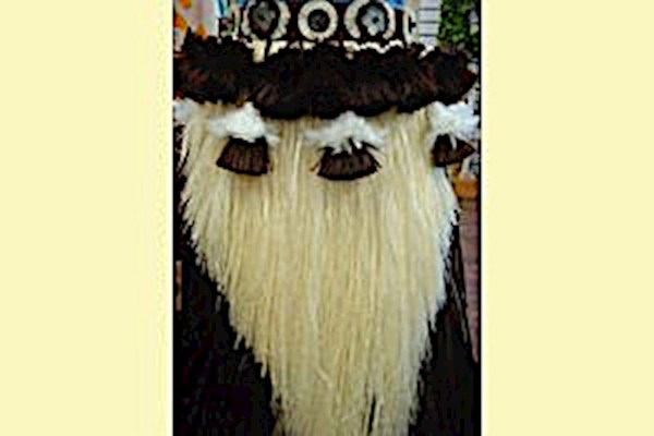 Fancy Professional Tahitian More' Costume