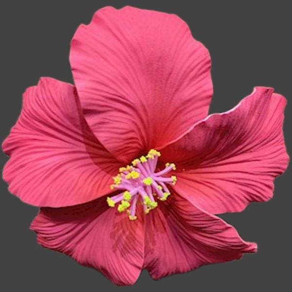 Foam Hibiscus Pick