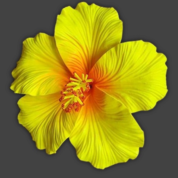 Foam Hibiscus Pick