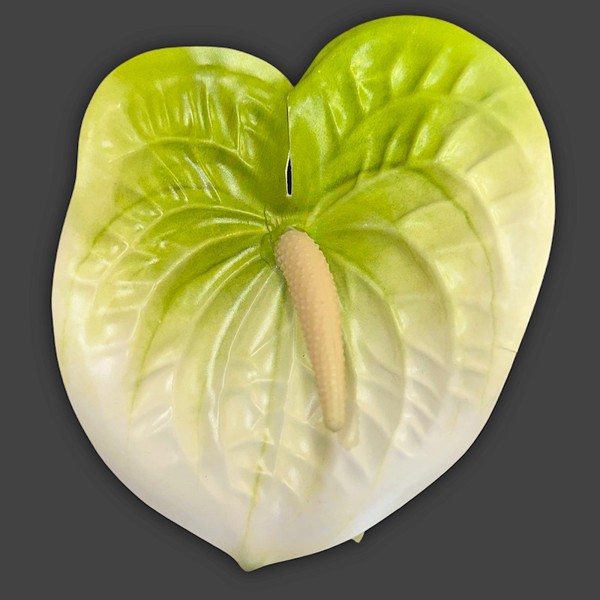 Large Anthurium Claw Clip