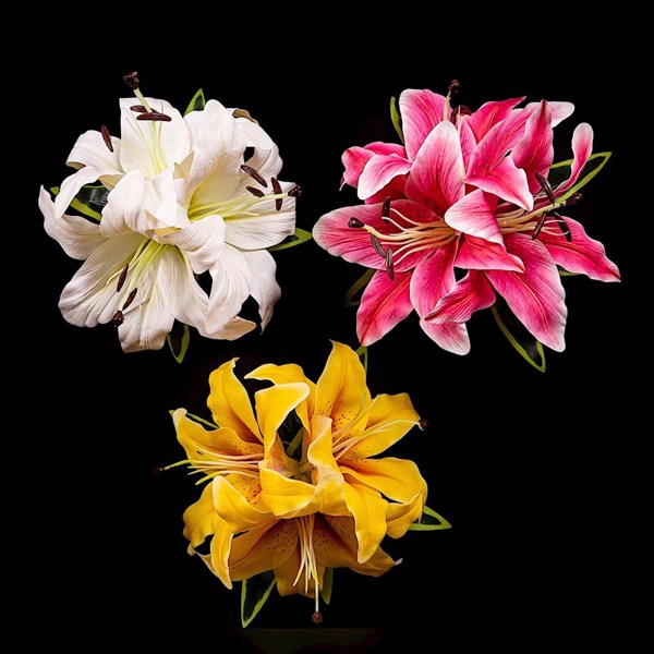 Large Lily Clip