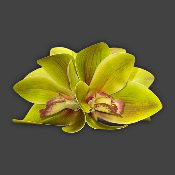 Large Orchid Claw Clip
