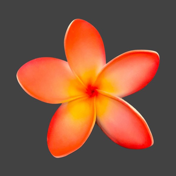 Large Plumeria Pick