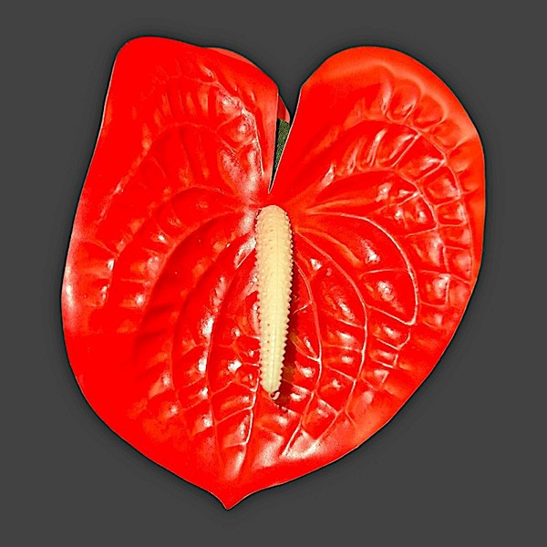 Large Waxed Anthurium Pick