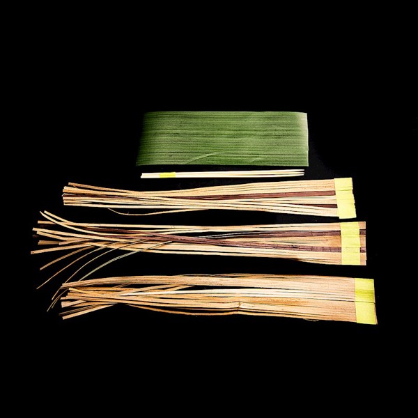 Lauhala Pua Kalo (Anthurium) Kit