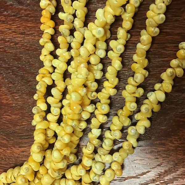 Long Pikake Shell Lei