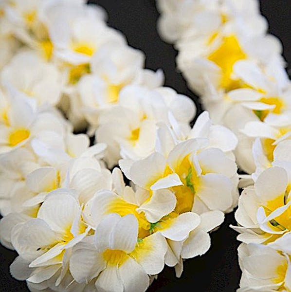 Mini Plumeria Lei XL