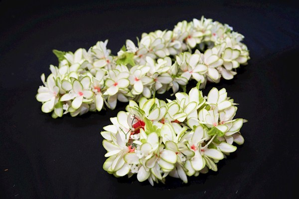 Nani Headband