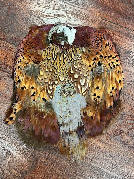 Natural Pheasant Pelt