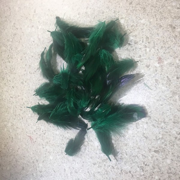 Ringneck Pheasant Hearts