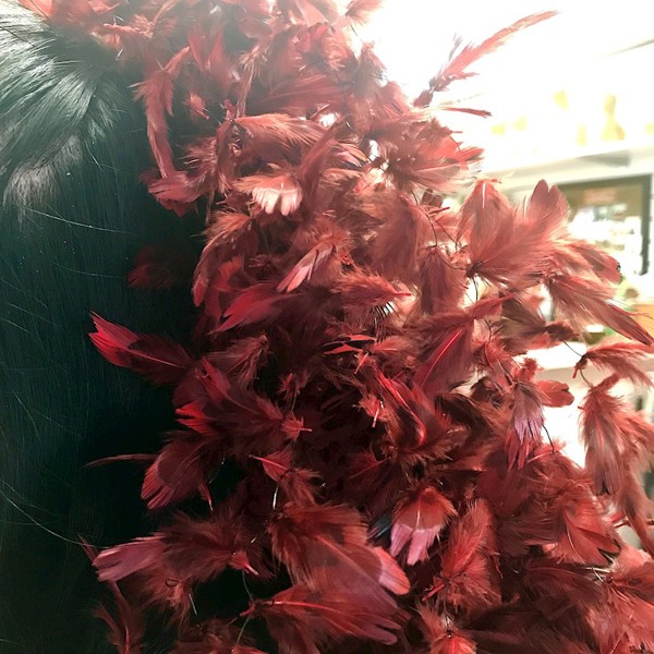 Ringneck Pheasant Hearts