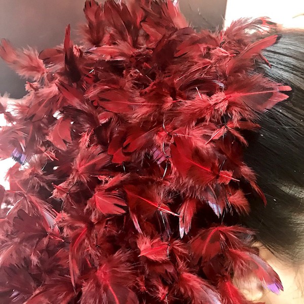 Ringneck Pheasant Hearts