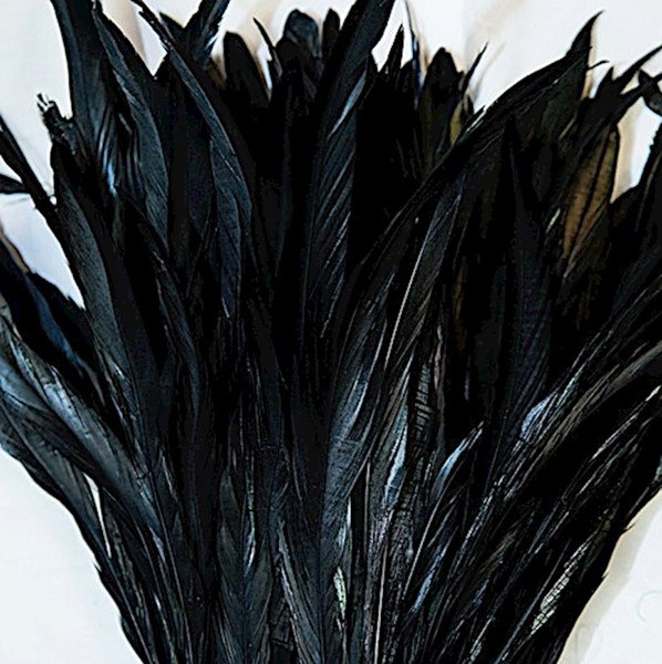 Rooster Tail Feathers - Black