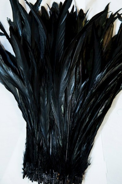 Rooster Tail Feathers - Black
