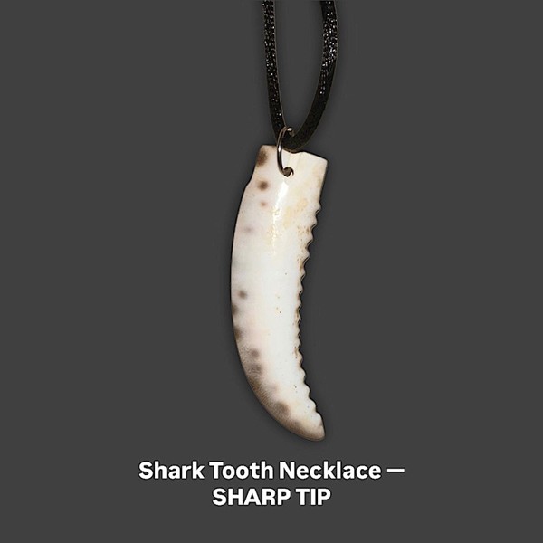 Shark Tooth Necklace