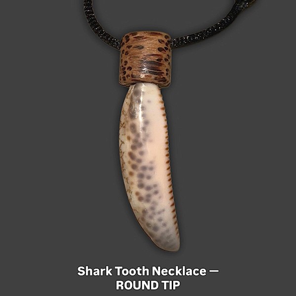 Shark Tooth Necklace