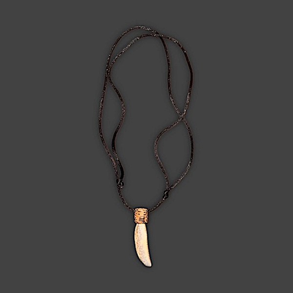 Shark Tooth Necklace