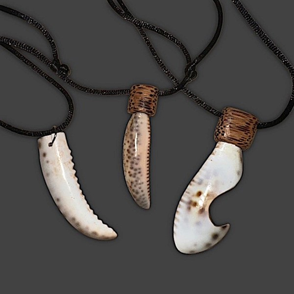 Shark Tooth Necklace