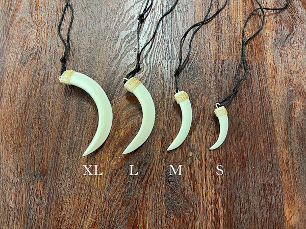 Single Boar's Tusk Necklace