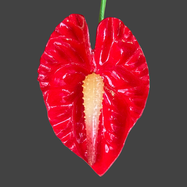 Small Foam Anthurium Pick
