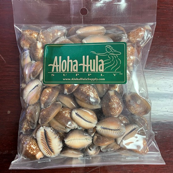 Snakehead Cowry Bag - 100 Pieces