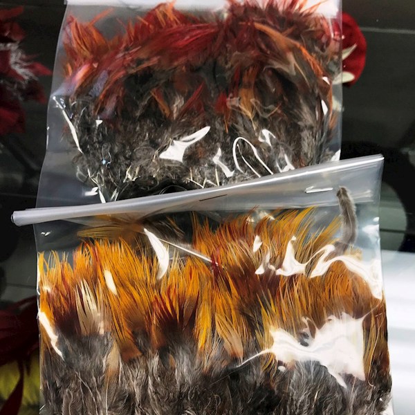 Strung Pheasant Feathers