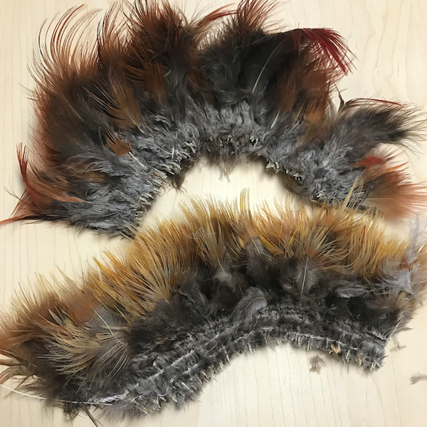 Strung Pheasant Feathers